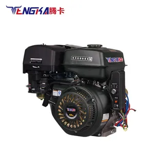 Chinese 5.5Hp Gasoline Engines 4 Stroke 163cc Small Gasoline Engine