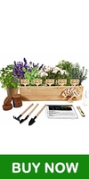 10 Kit Penyemai Benih Herbal untuk Berkebun, Pot Putih, Penanda, Tanah Self-Watering Bebas GMO, 16 oz, Set Lengkap untuk Berkebun Dalam Ruangan