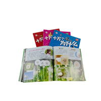 Impresión de Libros Infantiles Personalizados al por Mayor, Coloridos, con Dibujos Animados, Reutilizables, para la Educación Temprana y el Desarrollo Cognitivo, con Encuadernación Perfecta