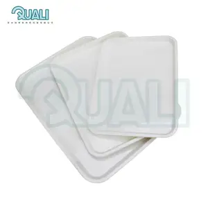 Quali Manufactured Best Quality Brand New Material Plastic Tray