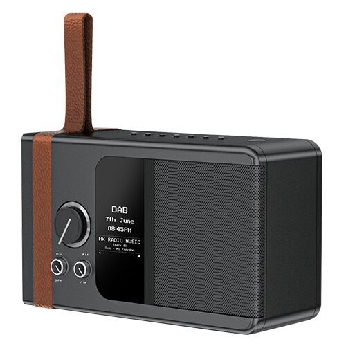 Portable BT DAB DAB+ Radio with LED Display Rechargeable Battery and USB-C Cable 12 Hour Playback Made of Durable Plastic
