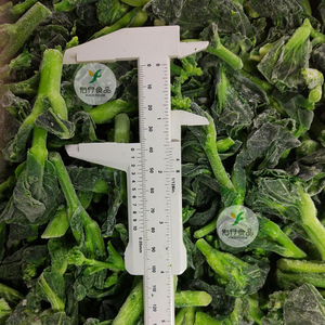 Mejor Precio y Servicio al por Mayor: Flor de Colza Verde Congelada IQF y Choy Sum <span class=keywords><strong>Congelado</strong></span> - Product Image 3