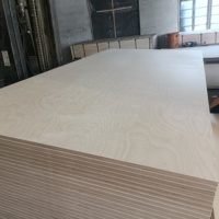 Panneau de contreplaqué en bois de bouleau stratifié 4x8' au design moderne, épaisseur 18 mm / contreplaqué commercial 3 mm-30 mm pour meubles