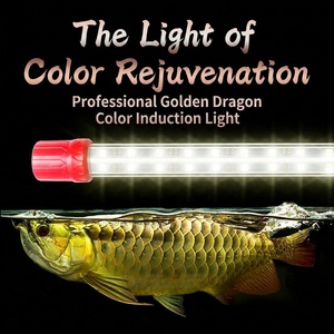 Lumière LED spéciale RGB pour aquarium JSD, <span class=keywords><strong>lampe</strong></span> pour aquarium imperméable tricolore, amplificateur de couleur - Product Image 2