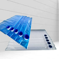 Sac BIB Aseptique Transparent sur Mesure 3L 5L 10L 20L avec Bouchon Stérile Transparent pour l'Emballage de Liquides, Œufs, Boissons et Huiles