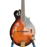 Mandoline Aiersi F Style à 8 cordes en épicéa massif et érable, corps cintré, style vintage Bluegrass, instrument à cordes acoustique, marque personnalisée