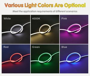 Aglare nhà máy bán buôn <span class=keywords><strong>5</strong></span> <span class=keywords><strong>Meter</strong></span> <span class=keywords><strong>Led</strong></span> Neon dải ánh sáng 12V Neon <span class=keywords><strong>Flex</strong></span> dấu hiệu Neon <span class=keywords><strong>Flex</strong></span> dải ánh sáng - Product Image 6
