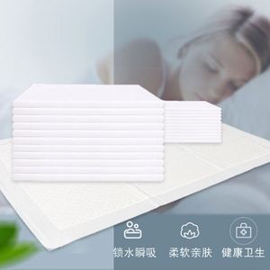 Coastal Economic Disposable 6-Ply Nonwoven 60x60cm Adult Underpads <b>Waterproof</b> Bed Sheet <b>Pads</b> - Product Image 3