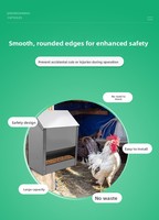 Mangeoires automatiques pour poulets de grande capacité, mangeoire à poulet en acier inoxydable, bacs d'alimentation pour volailles