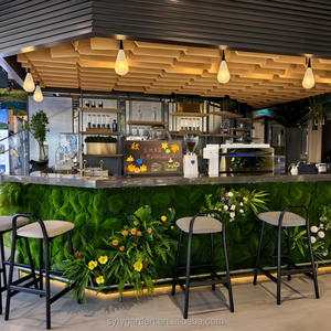 Plantes artificielles avec cadre, décoration <span class=keywords><strong>murale</strong></span> suspendue, feuillage suspendu pour salon, toile <span class=keywords><strong>de</strong></span> fond intérieure et extérieure - Product Image 5