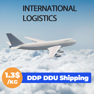 China Fba DDP Transporte de carga aérea marítima a Europa EE. UU. CA Reino Unido España Francia Alemania Almacén Servicio puerta a puerta Envío Europa - Product Image 1
