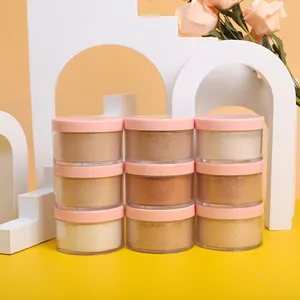 PL-2r Nhãn Hiệu Riêng Khuôn Mặt Trang Điểm Loose Powder Biểu Tượng Tùy Chỉnh 9 Colors Matte Nền Tảng Dầu Kiểm Soát Thiết Lập Loose Powder