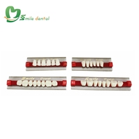 Dents en résine acrylique dentaire, dents de prothèse, dents artificielles, fausses dents