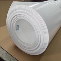 Lámina de PTFE Virgen 100% Personalizada al por Mayor, Rollo de Lámina de PTFE Resistente a Altas Temperaturas, Placa/Lámina de Plástico PTFE Blanca
