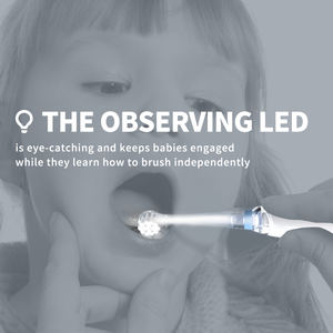 SEAGO SG2113 sikat gigi elektrik bayi, sikat gigi sonik 16000 ~ 24000 VPM getaran lembut OEM dengan bulu lembut kustomisasi kartun - Product Image 6