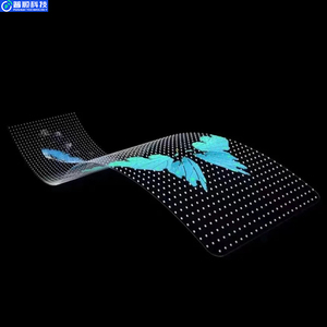 Pushunled Factory Advertising <strong>Digital</strong> <strong>Signage</strong> Billboard Flexible Wall Transparent Glass Display Roll-up P6 Led Film Screen - Product Image 6