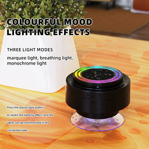 Dubbele Kleine Rgb Licht Ip67 Speaker Ai Speaker Smart Voice Control Draagbare Smart Voice Control Assistent Bluetooth Speaker