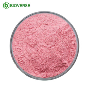 Bioverse Meilleur Prix Poudre de Cerise Chinoise Gnomique Hydrosoluble, Poudre de Fruit Naturelle Riche en Calcium, Vente en Gros - Product Image 1
