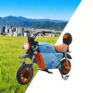 Motocyclette résistante à la décoloration avec éléments en plastique pour une utilisation extérieure à long terme - Product Image 1