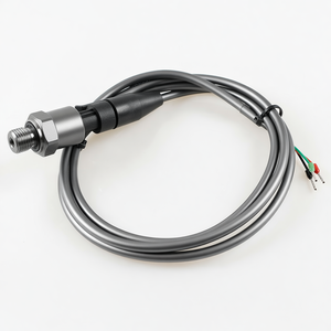 เซ็นเซอร์วัดน้ำและอากาศแบบเหล็กกล้าคาร์บอนราคาประหยัด OEM รุ่น HPT907C - Product Image 2