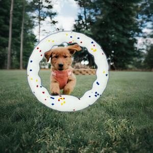 Giocattolo per Cani Ecologico da Viaggio, Anello da Morso Resistente, Interattivo, in ETPU, per Addestramento e Premi, Stile Semplice, 23cm - Product Image 3