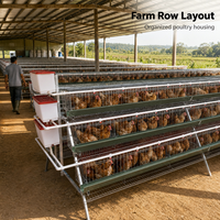Nouvelle cage de transport multifonctionnelle BeYou pour poulets, galvanisée à froid, pour ferme de type A, capacité 120 poulets pondeuses