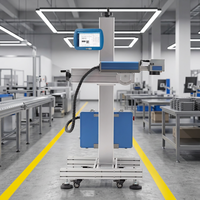Machine de marquage laser automatique pour l'impression de la date de production sur film plastique, facile à utiliser
