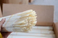 Teint en gros naturel blanc paon bâton tige plumes de paon pour matériel de montage de mouches accessoire de pêche bricolage artisanat naturel