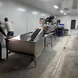 Máquina Motorizada de Acero Inoxidable para Lavar y Secar Huevos con Capacidad de 500 Piezas/min para Fábricas de Alimentos y Servicios de Catering Comercial - Product Image 2