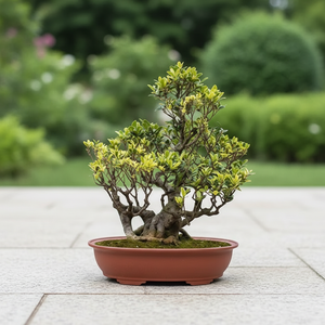 <span class=keywords><strong>Pot</strong></span> <span class=keywords><strong>de</strong></span> fleurs en plastique ovale <span class=keywords><strong>de</strong></span> grande taille pour plantes d'intérieur, imitation Zisha, design chinois, pour bonsaï - Product Image 1
