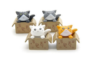 Carino e vivido in <span class=keywords><strong>cerca</strong></span> di gatti Bonsai ornamenti carnosi giardino paesaggio in vaso giardinaggio - Product Image 4