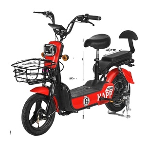 Dành cho người lớn hành khách hàng hóa điện ba bánh loader 48V 12Ah 2-động Cơ bánh xe Scooter với đẹp trai - Product Image 5