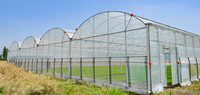 Serre Agricole Tunnel JP Multi-Travée Économique en Film Plastique pour Fraises Tomates, Protection Agricole