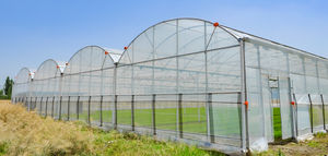 Serre Agricole Tunnel JP Multi-Travée Économique en Film Plastique pour Fraises <span class=keywords><strong>Tomates</strong></span>, Protection Agricole - Product Image 5
