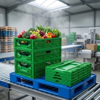 Caisse de rangement en plastique pliable et empilable HAOSEN - Durable, écologique, pour déménagement, camping, vente en gros en usine