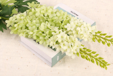 สีเขียว