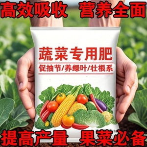 Engrais Composé Spécial pour Légumes 10 Jin NPK 19-19-19 Granulaire Engrais Complet à Tous les Nutriments - Product Image 2
