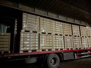 Catalyst C1300-24MGP-4X Nuevo Switch Gestionado de Capa 3 con 24 Puertos Gigabit <span class=keywords><strong>Ethernet</strong></span> y Soporte PoE+ - Product Image 3