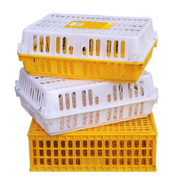 Cages de transport automatiques pour poulets, cages pour poules pondeuses avec cage à cailles en plastique, état neuf pour les fermes avicoles