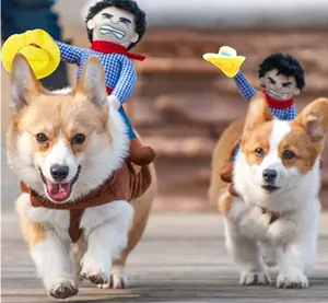 Toptan çin yeni yıl kostüm bebek-Köpekler için komik giyim kostüm Suit Cosplay batı Rider stil giysileri evcil köpek kovboy sürme kostümleri