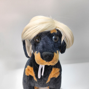 Nouvelle Perruque Dorée Inspirée pour Animaux de Compagnie, Universelle pour Chiens et Chats, Coiffure Amusante et Drôle pour Halloween et Fêtes, Vente Chaude - Product Image 2