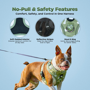 Cute Cartoon Luxury Adjustable Breathable Durable Polyester <b>Pet</b> Dog Harness Set <b>Leash</b> Outdoor Walking 2-14KG - Product Image 3