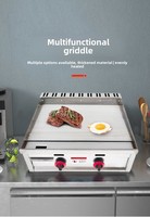 Plaque de cuisson électrique professionnelle SURRI, gril plat en acier inoxydable, plaque de cuisson Teppanyaki, puissance précise de 1000 à 3000 W