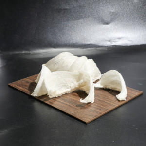 ผลิตภัณฑ์เสริมสุขภาพรังนกเวียดนามสำหรับผู้ใหญ่รังนกแท้ใช้เป็นนกกินได้ - Product Image 5