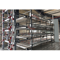 Cage à poulets de chair et pondeuses de type H entièrement automatique pour 100 000 oiseaux – Équipement d'élevage avicole