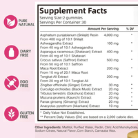 Gummies de Shilajit pour adultes sous marque privée 1000mg – Extrait de résine pure pour le soutien immunitaire et la santé