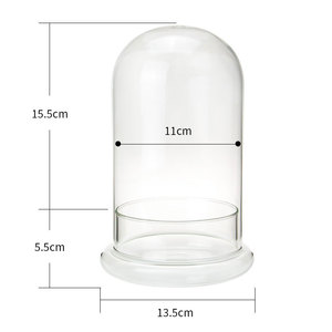 Bán Buôn Tay Thổi Cao <span class=keywords><strong>Borosilicate</strong></span> Glass Dome Rose Trong Glass Dome Với Cơ Sở - Product Image 3