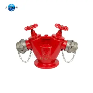 Vietnam Type Water Distribution Valve Ductile Iron Body Gost Adapter 2X65X100mm Double Heads Fire Hydrant