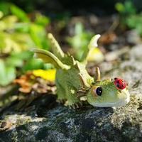 2025 Miniature Fairy Garden Terrarium Mini Dragon jouant avec une statue de coccinelle