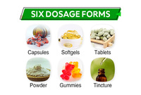 Comprimés de Glucosamine, Chondroïtine, MSM, Boswellia et Olibanum pour Adultes Végétariens OEM
